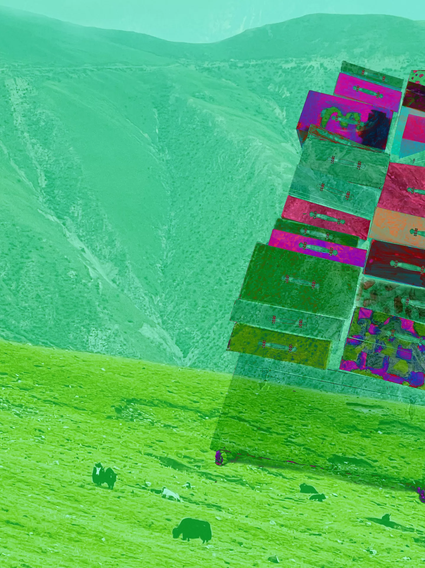 Nomade, un coeur libre